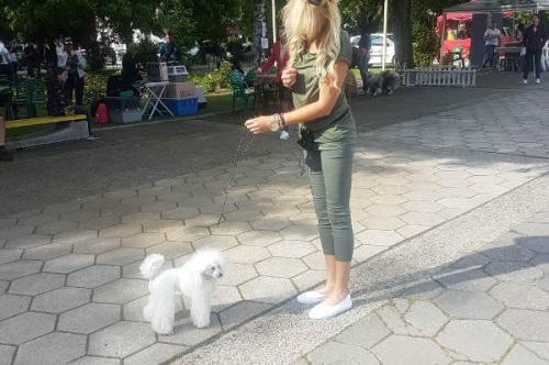 Киноложка изложба THE DOG SHOW – Първомай 2019